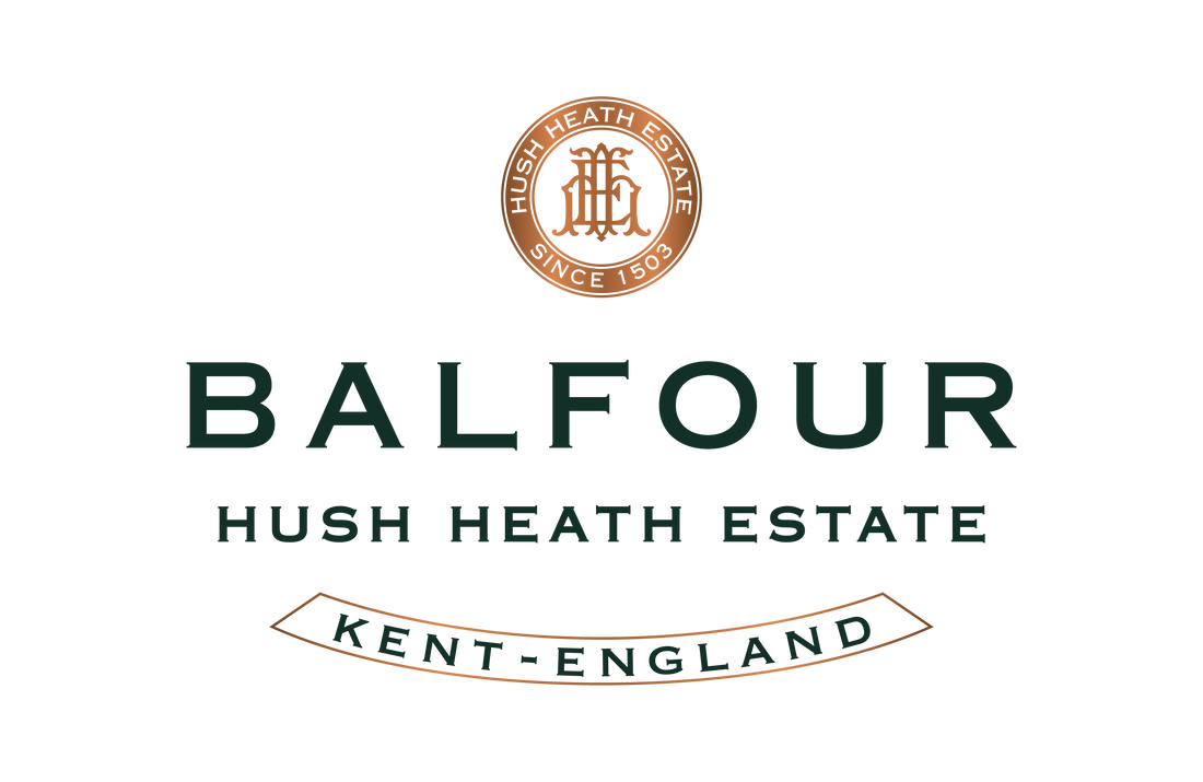 Fergus Elias, wine maker  Balfour Winery Hushheath Estate
