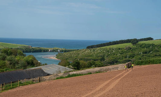 Bantham Vineyard's First Harvest