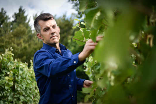 Wine Talks British Business with Brad Greatrix from Nyetimber