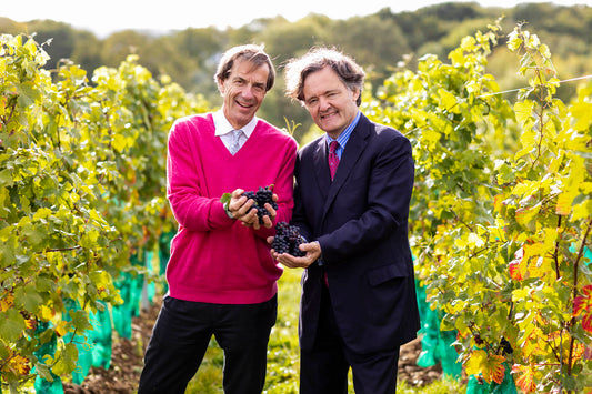 Taittinger UK Domaine Evremond Vineyard interview with Pierre-Emmanuel Taittinger