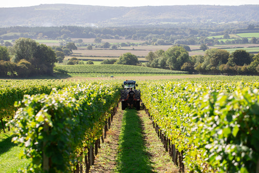Roebuck Estates' Wine Tasting with Will Hine