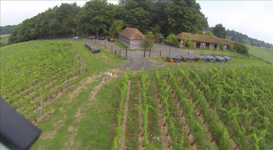 Windsor Great Park Vineyard interview by The English Wine Collection