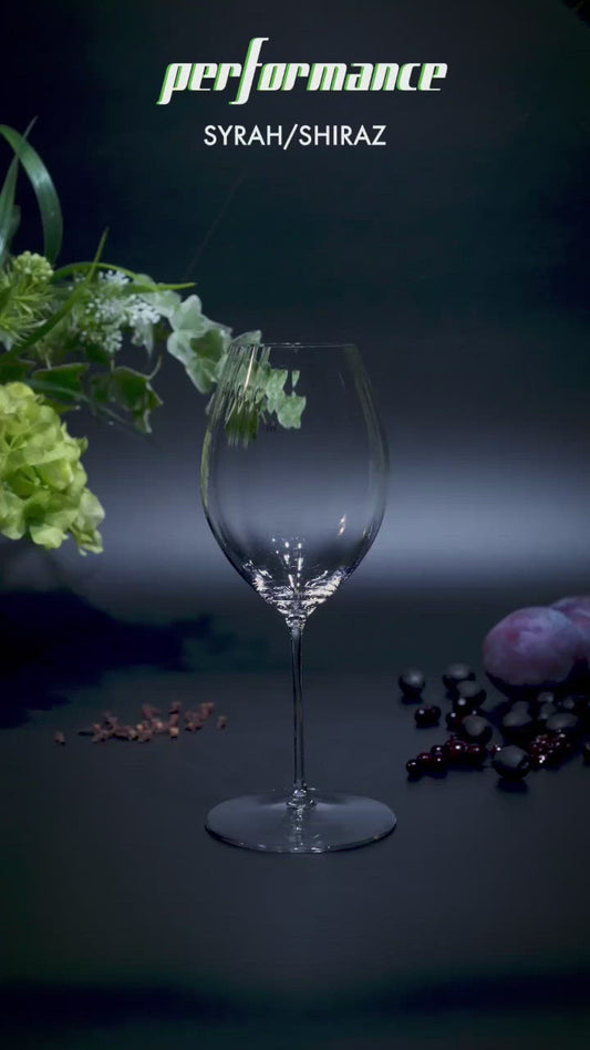 HALF PRICE  -Syrah, Shiraz | Red Wine Glass Set of 2 Riedel Performance