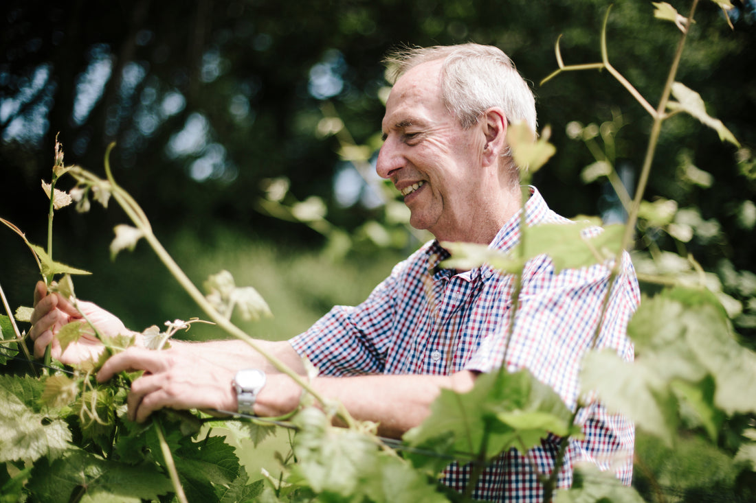 Camel Valley Vineyard interview by The English Wine Collection