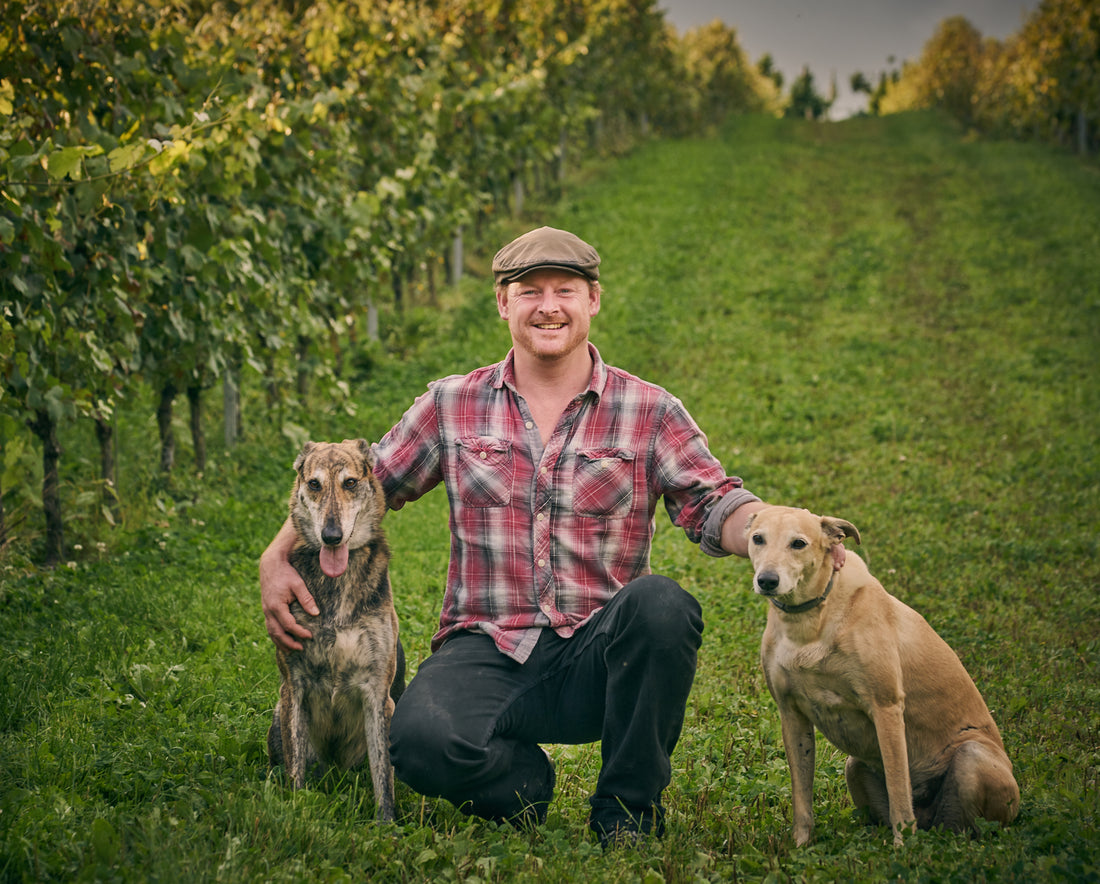 Wiston Estate wine tasting with Dermot Sugrue Wine Maker