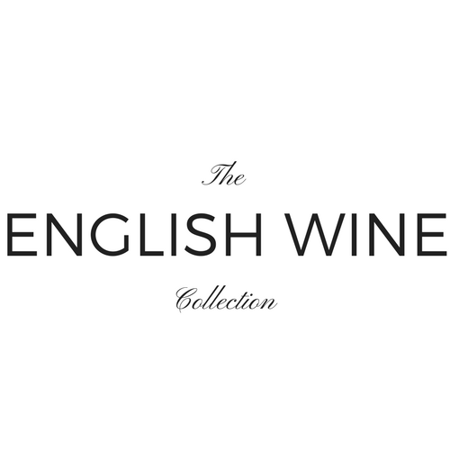 Video of Wine Talks British Business with John Apthorp CBE | The English Wine Collection
