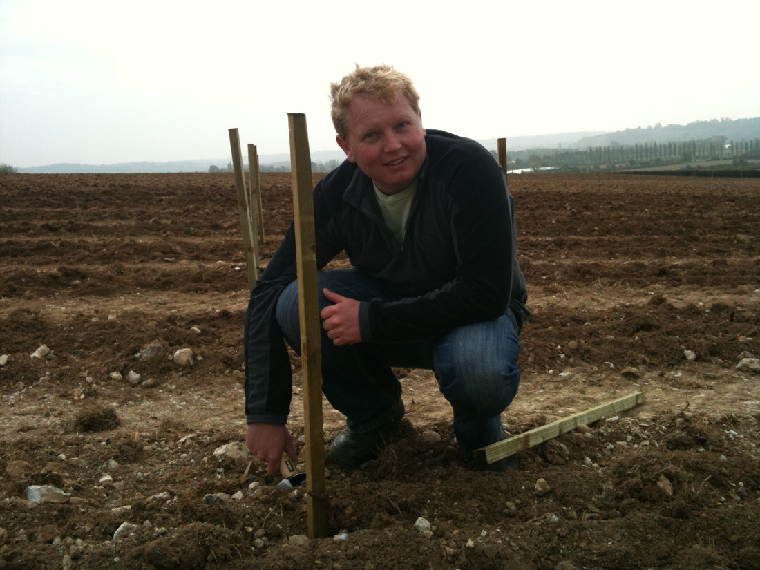 The Harrow and Hope wine tasting video with Henry Laithwaite