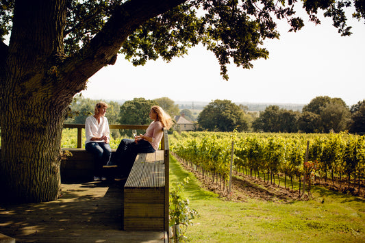 Gusbourne Vineyard interview by The English Wine Collection