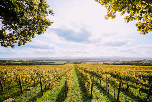 Wine maker Brad Greatrix talks about Nyetimber's 30-year history