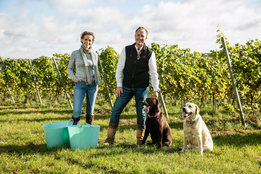 Simpsons' vineyard interview by The English Wine Collection