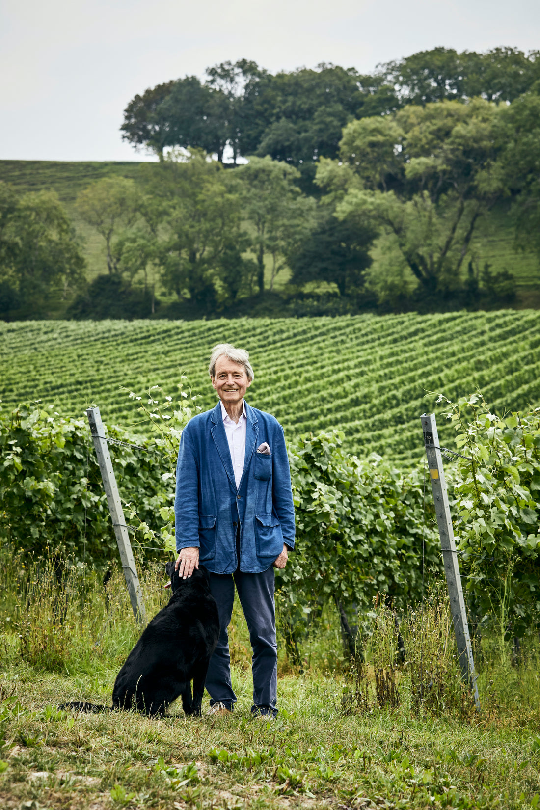 Steven Sprurrier on Wine Talks British Business