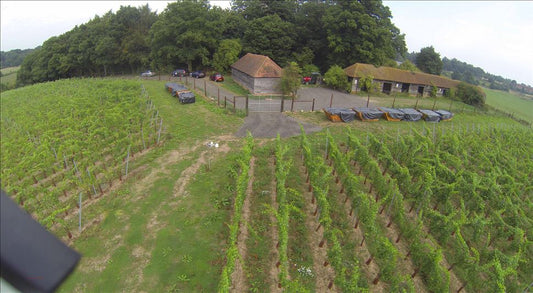 Video of the 2017 Windsor Great Park harvest