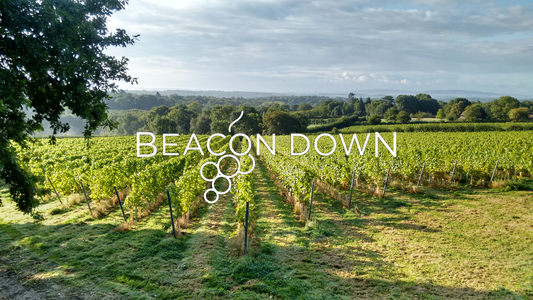 Beacon Down Vineyard interview  by The English Wine Collection