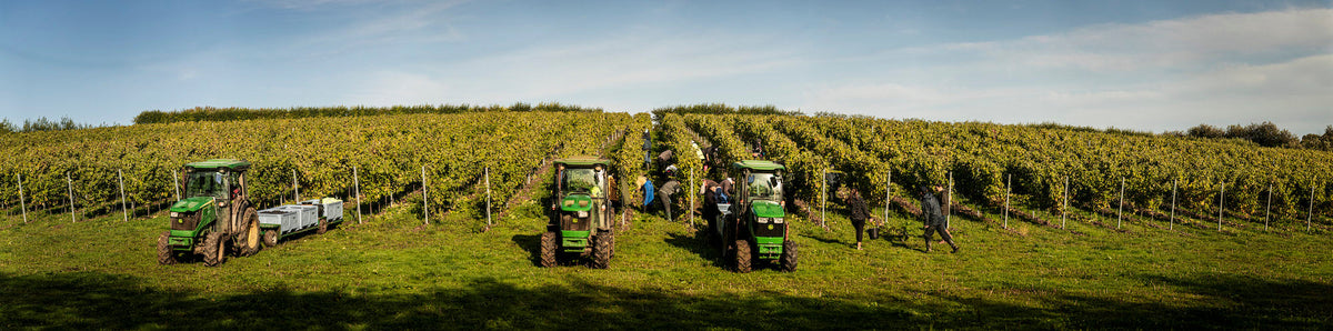 Domaine Evremond Collection