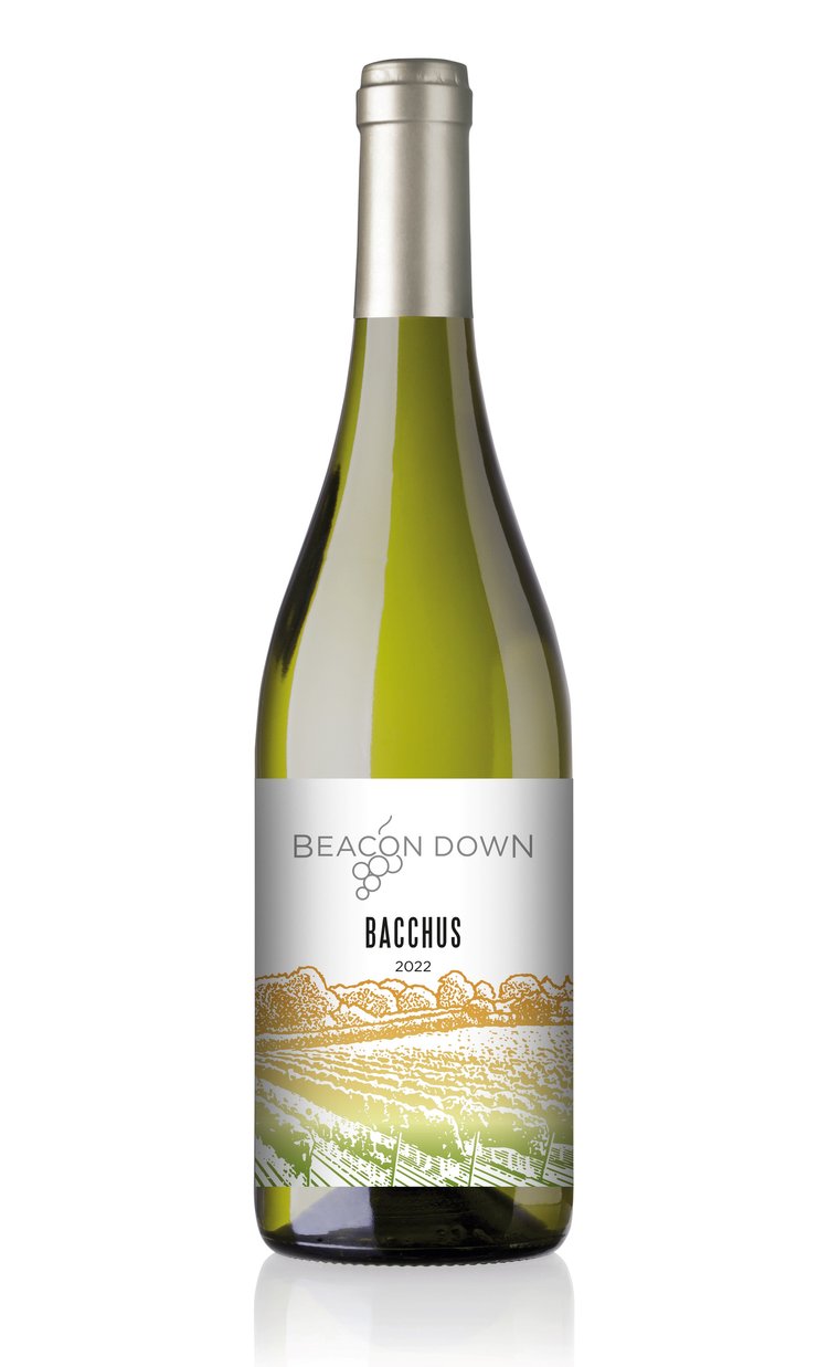 Beacon Down Bacchus  + Riedel Wine Glass Gift Set of 2