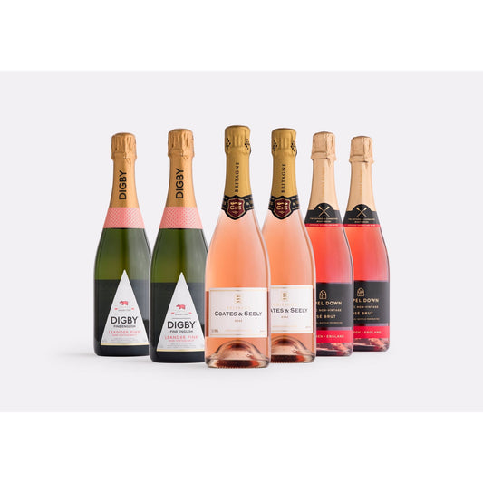Classic Sparkling Rosé Case | Curated Case Collection