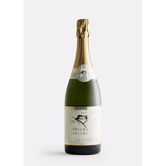 Wellhayes sparkling white wine The English Wine Collection
